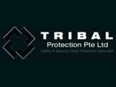 https://www.globaldefencemart.com/data_images/thumbs/Tribal-Protection-Logo.jpg